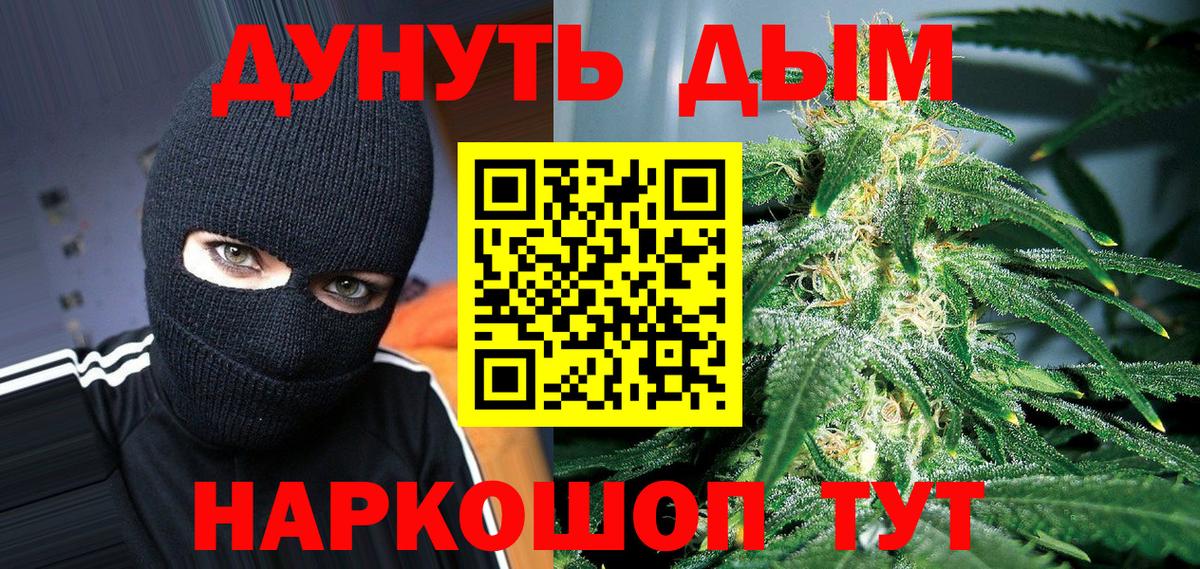 Конопля конопля  Конопля гибрид  Дмитров  Конопля AK-47  Вход с VPN  Конопля OG Kush 
